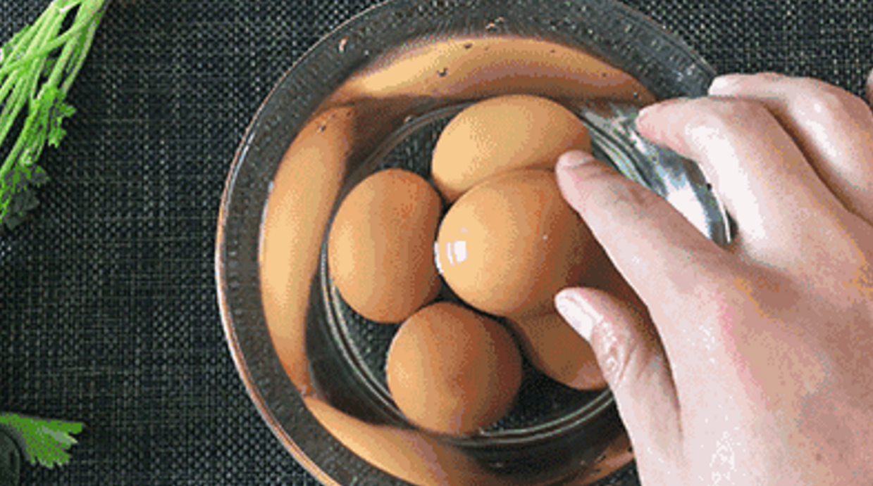 【微光谱应用】利用近红外光谱技术无损检测鸡蛋